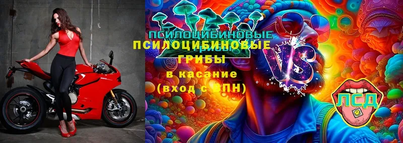 Цена Вихоревка КОКАИН  KRAKEN вход  Канабис  LSD-25  МЕФ  A-PVP 