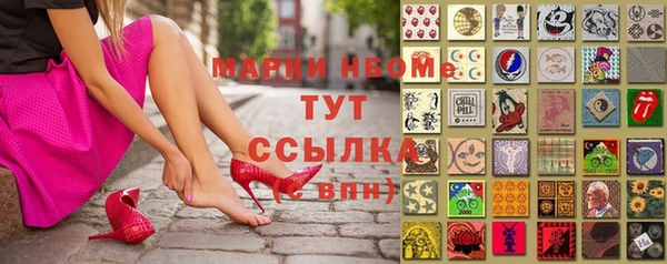 шишки Аксай