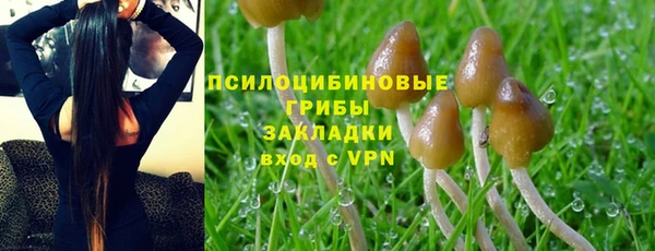 первитин Бердск