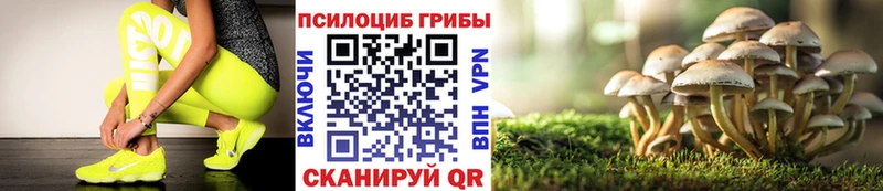 Галлюциногенные грибы Cubensis  Вихоревка 